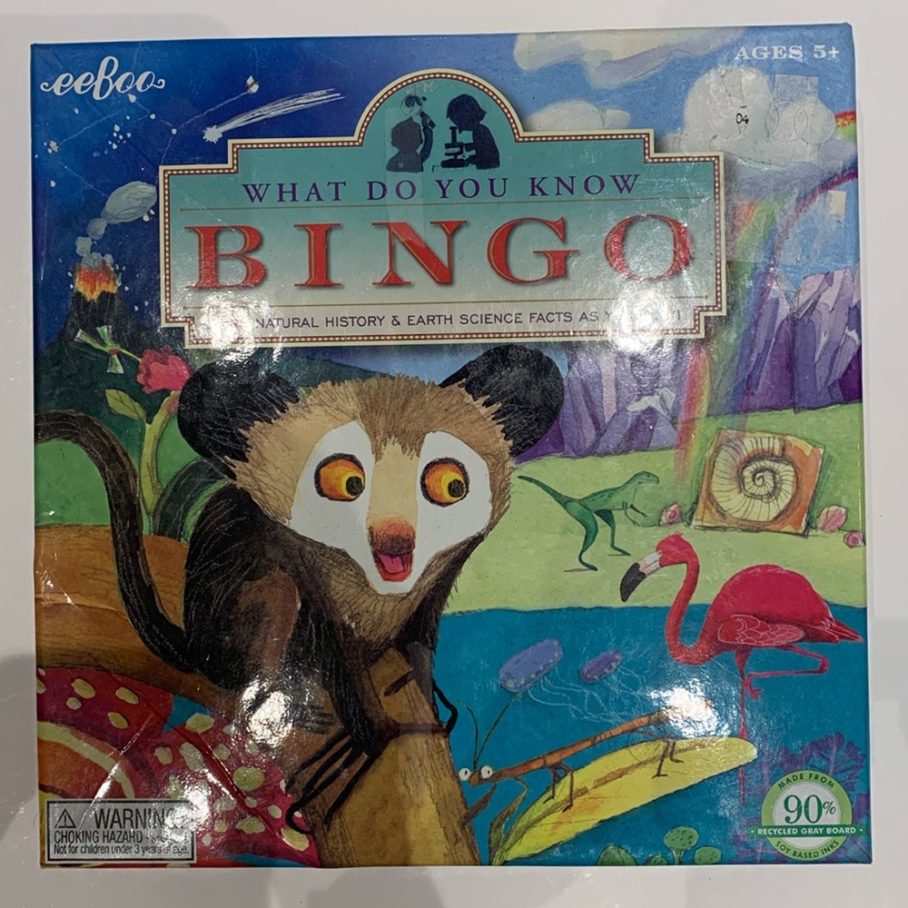 Eeboo What do you know Bingo